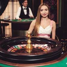 bd333 bet